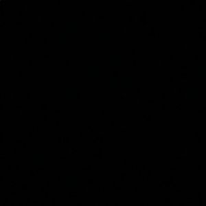 Meet your Posher, Maggie